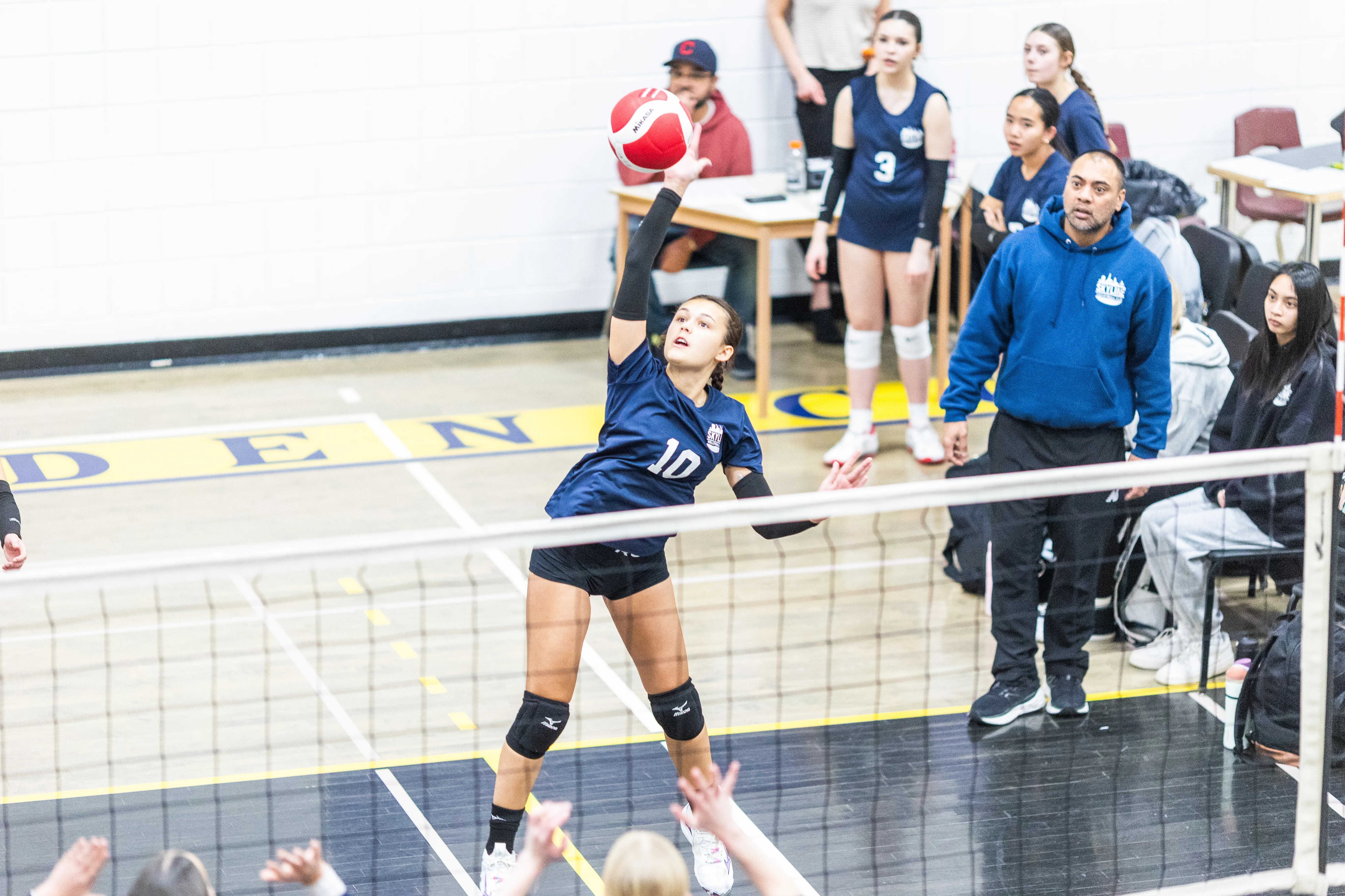 Experienced volleyball coaches leading athletes in a training session
